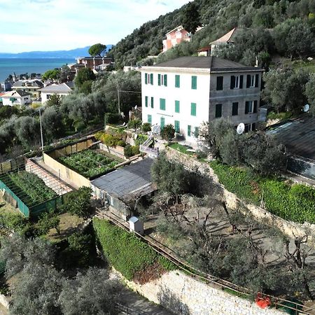 Cav Gli Ulivi Di Bogliasco Villa Exterior photo