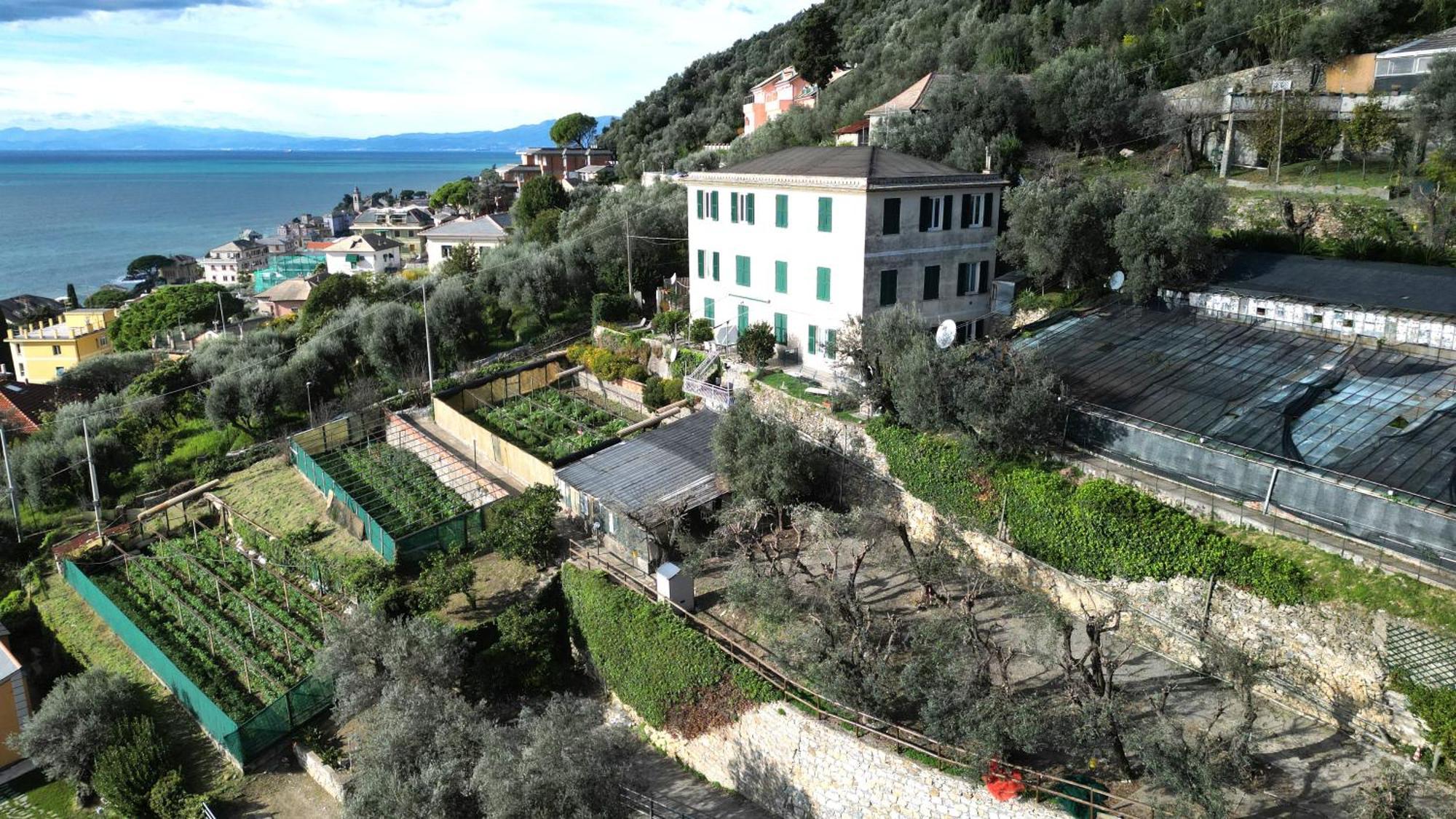 Cav Gli Ulivi Di Bogliasco Villa Exterior photo