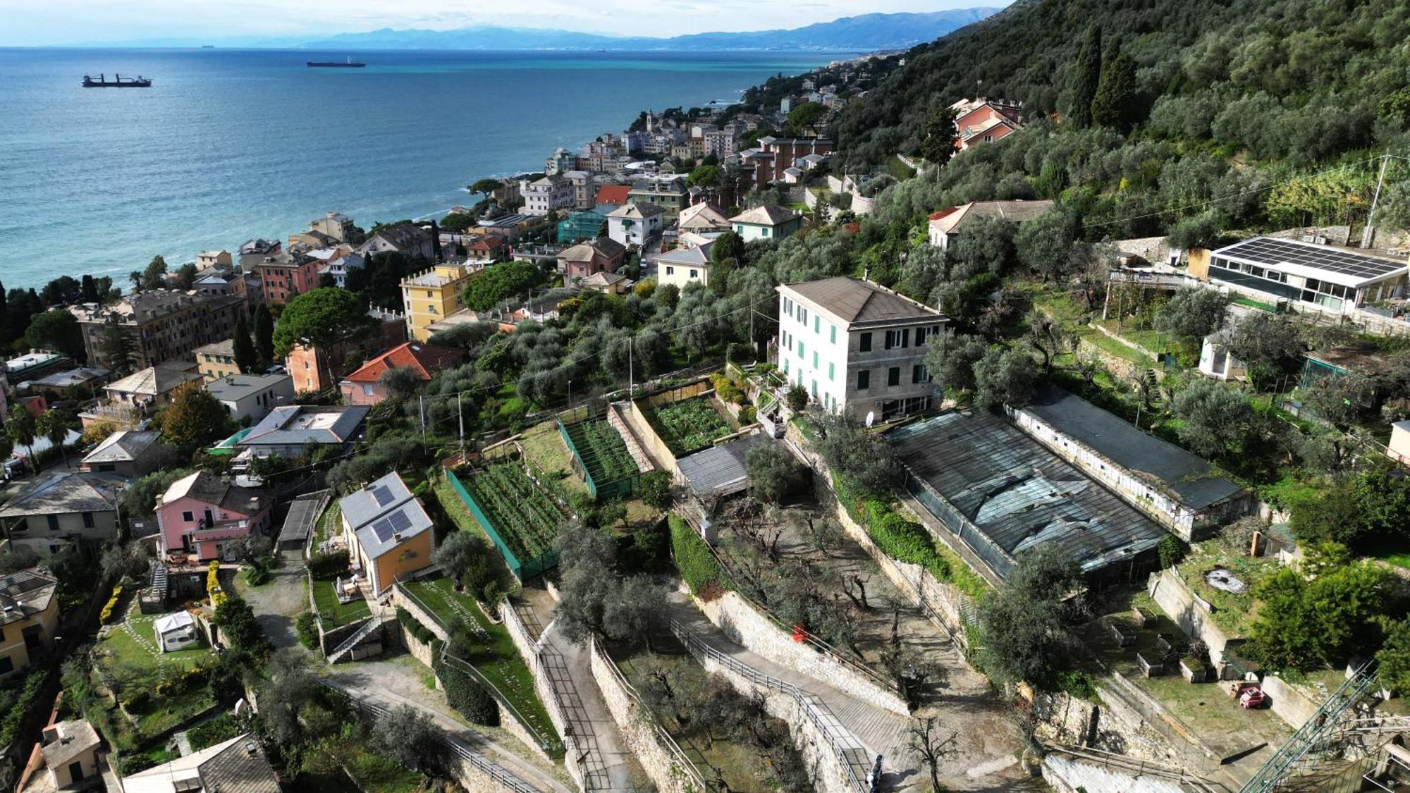 Cav Gli Ulivi Di Bogliasco Villa Exterior photo